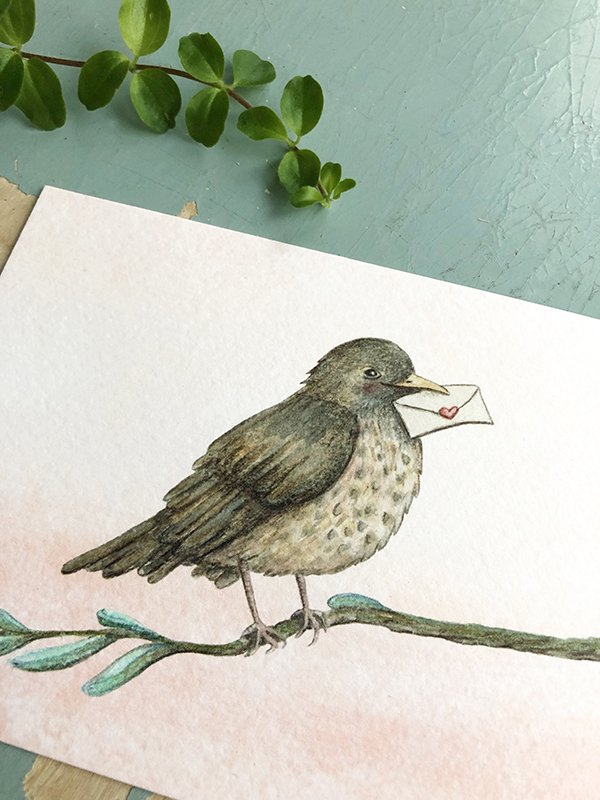 Postkaart merel vogel